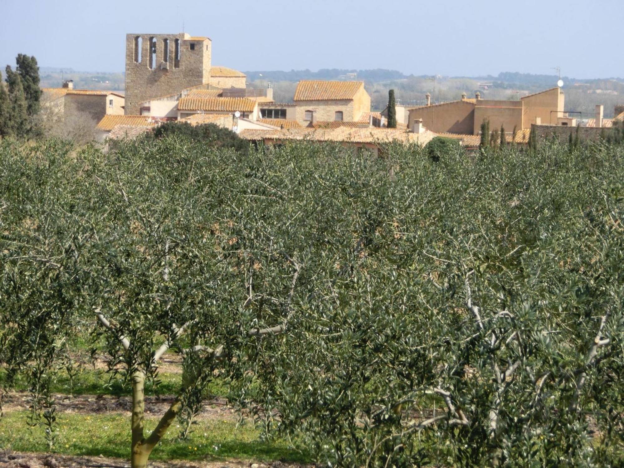 Can Barrull-Costa Brava-Emporda Sant Feliu de Boada Eksteriør billede
