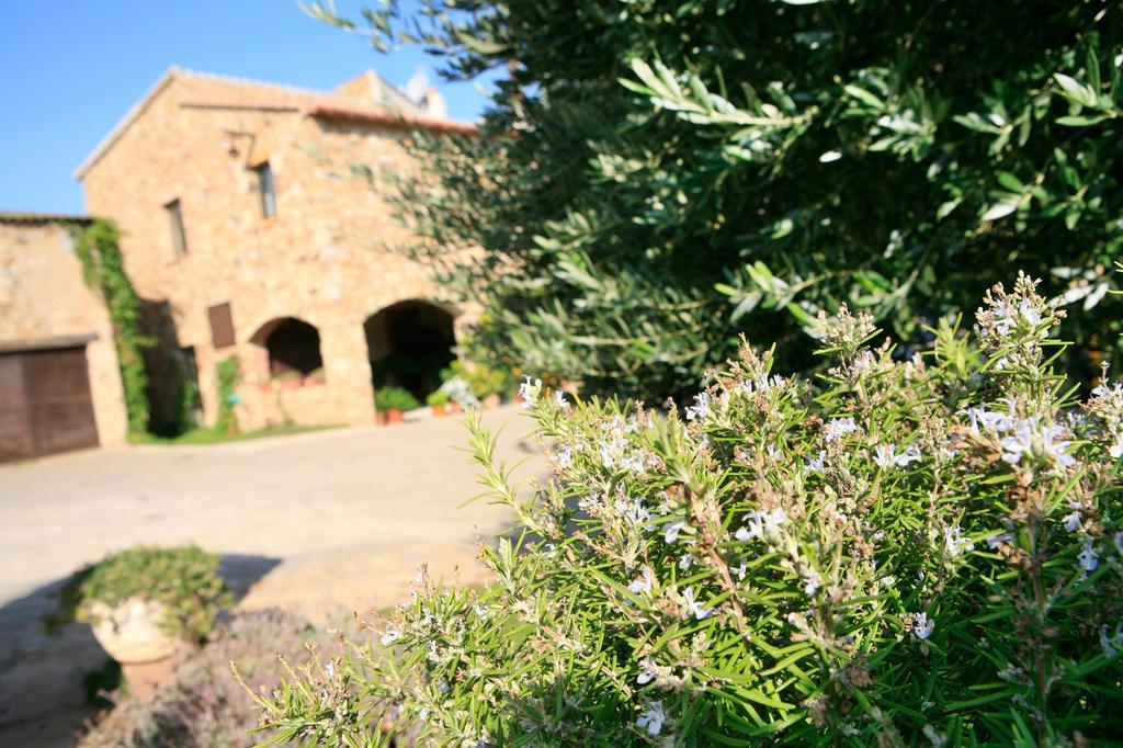 Can Barrull-Costa Brava-Emporda Sant Feliu de Boada Eksteriør billede